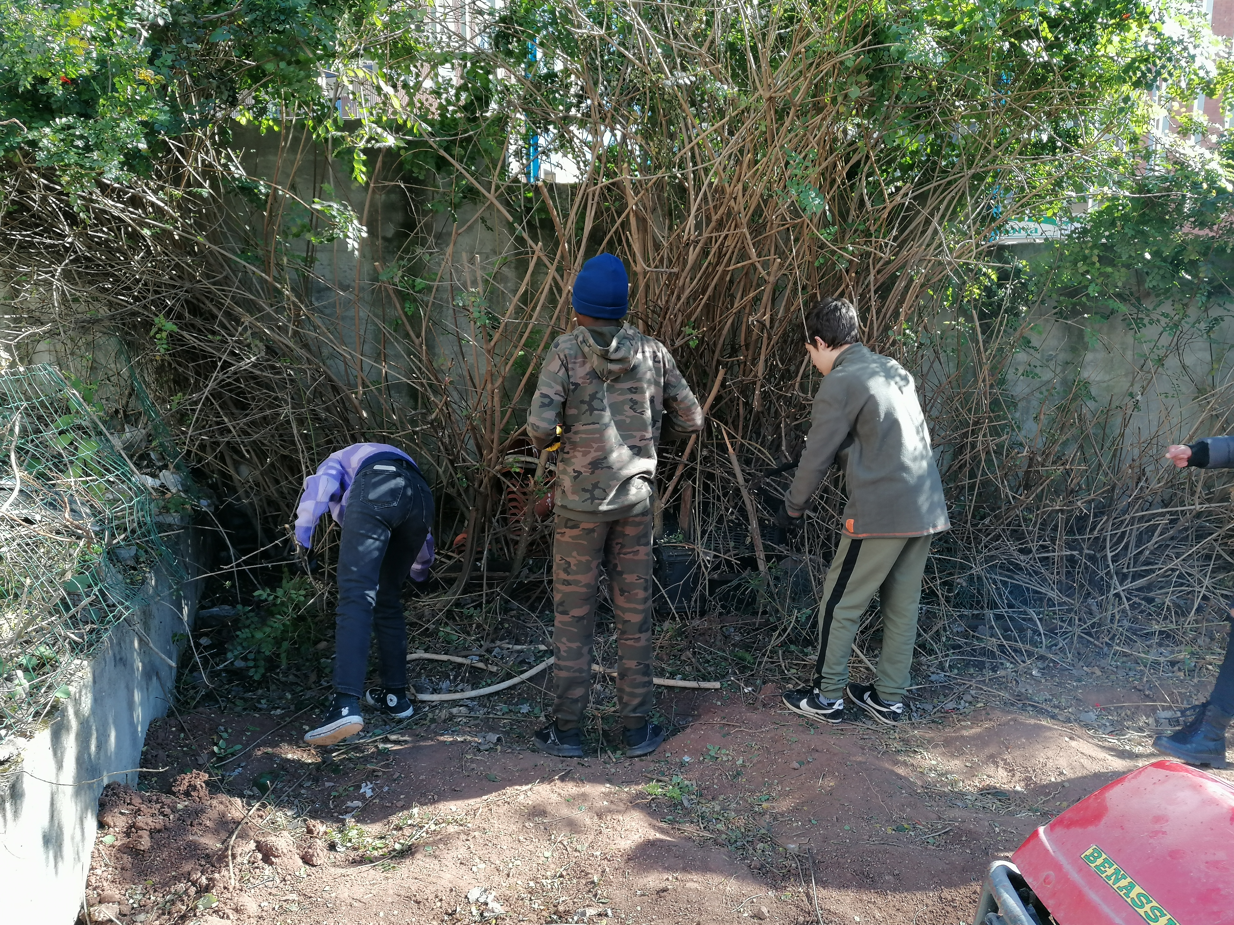 Vários alunos do 8.º H a limparem o terreno da horta.