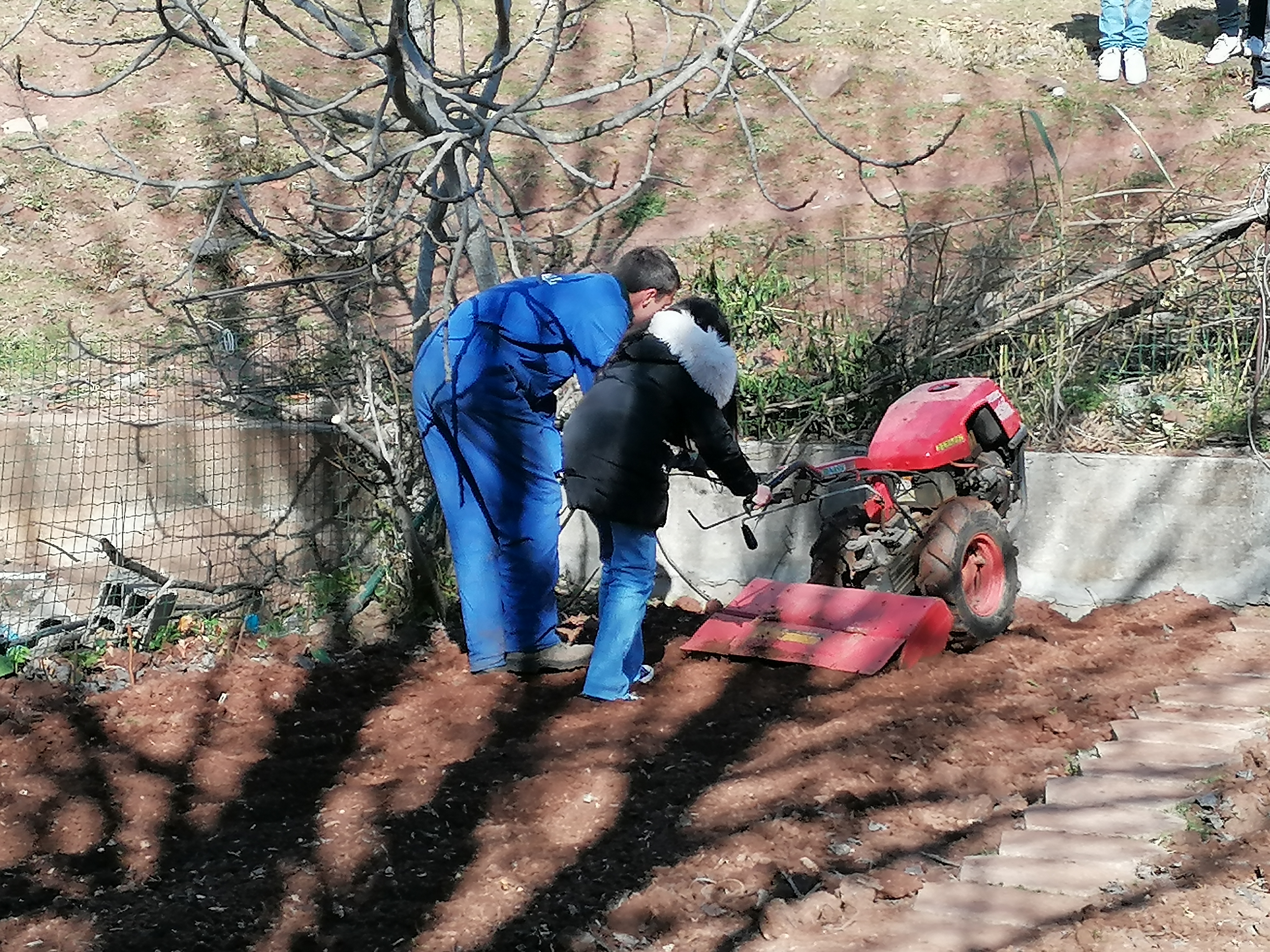 Outra aluna do 7.º D a aprender e praticar a preparação do terreno da horta.