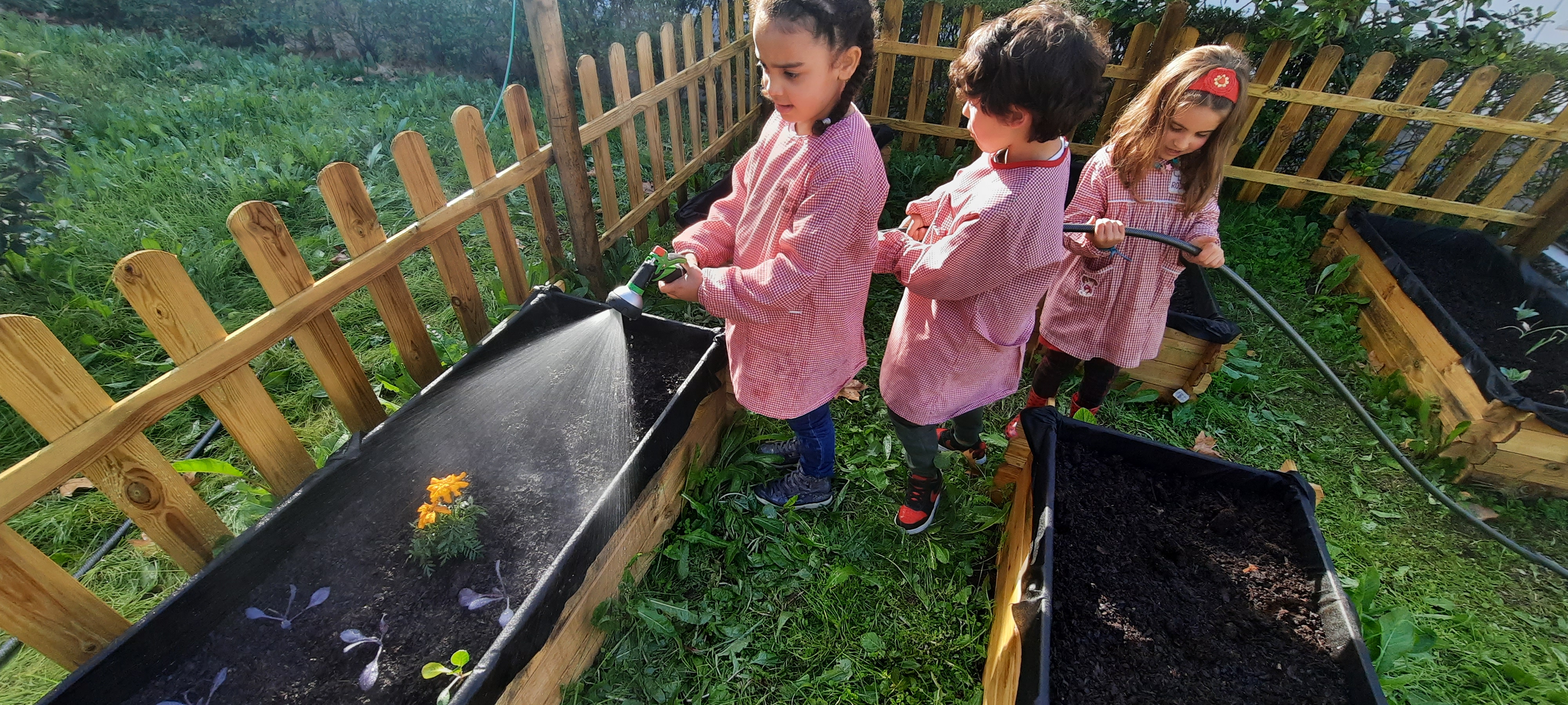 As crianças regam as hortas