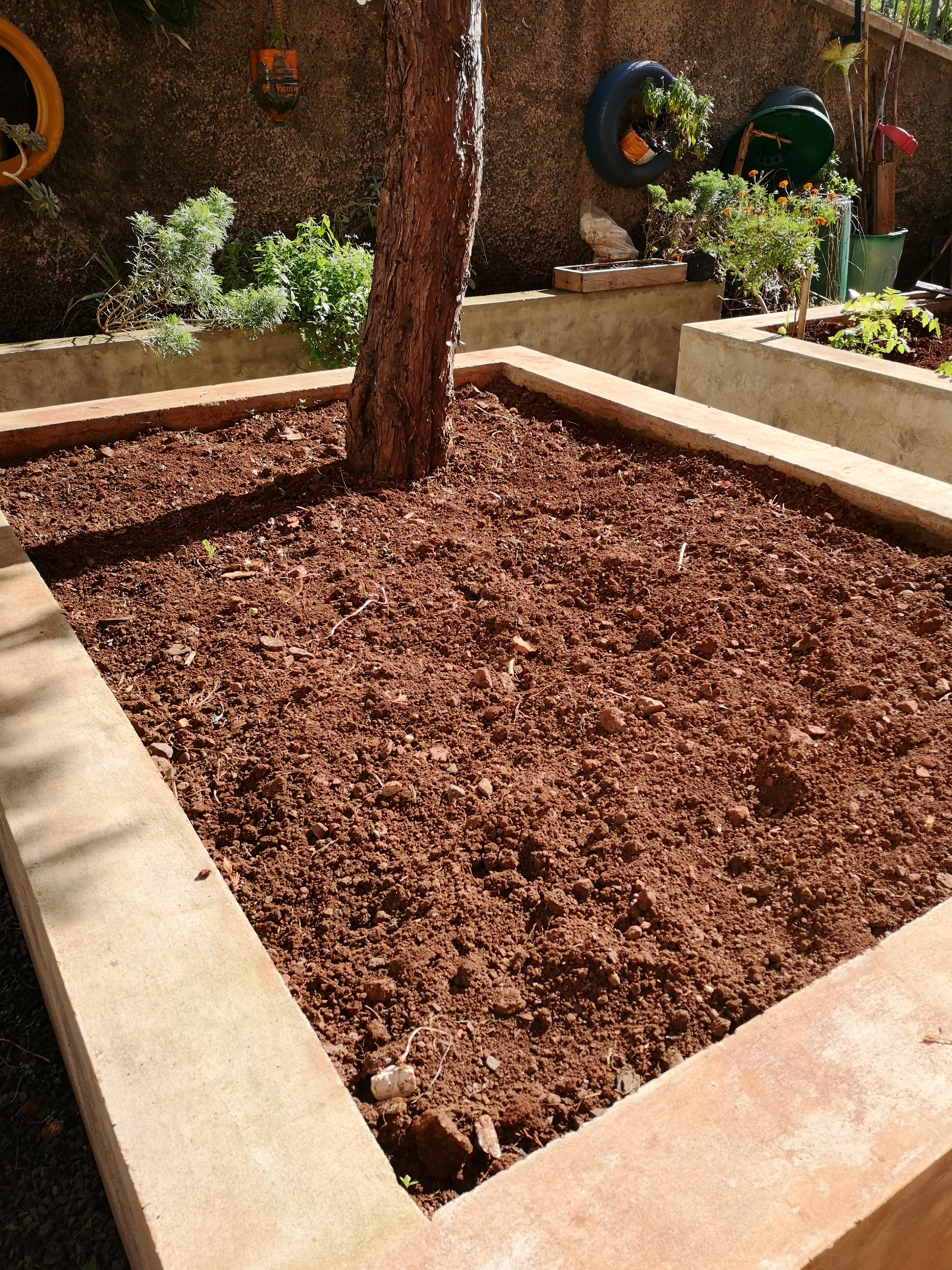 Arejamento do solo dos canteiros para semear e cultivar as hortaliças e aromáticas.