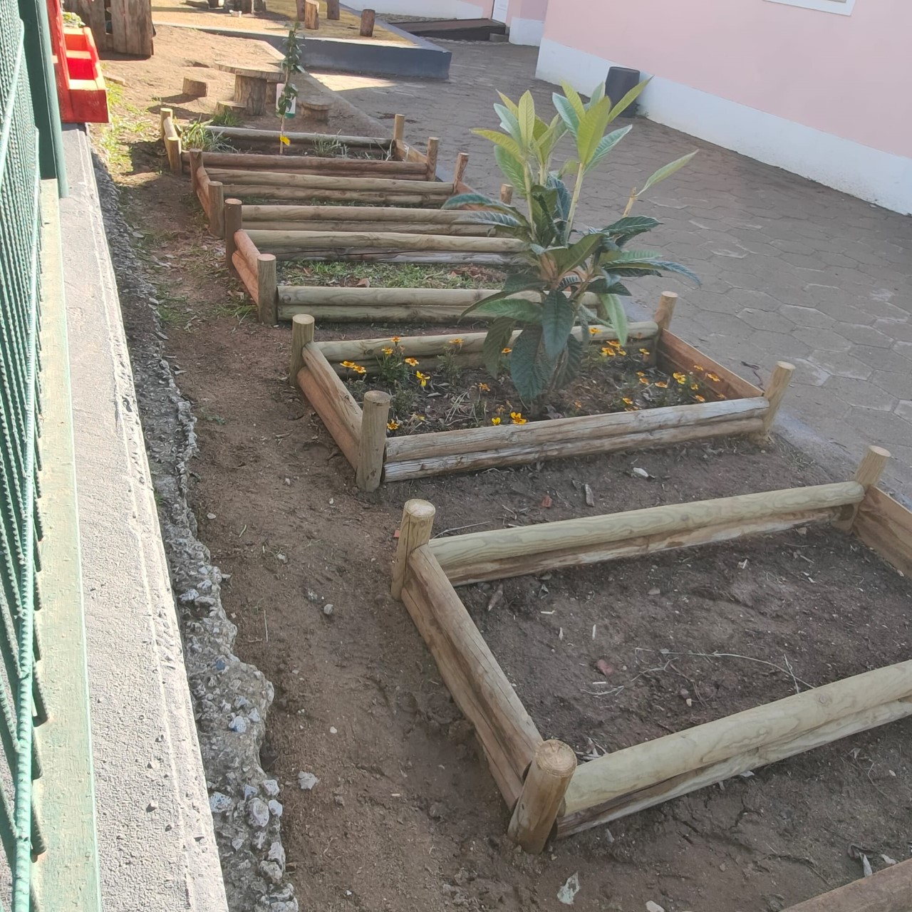 pré- escolar horta preparada para a sementeira