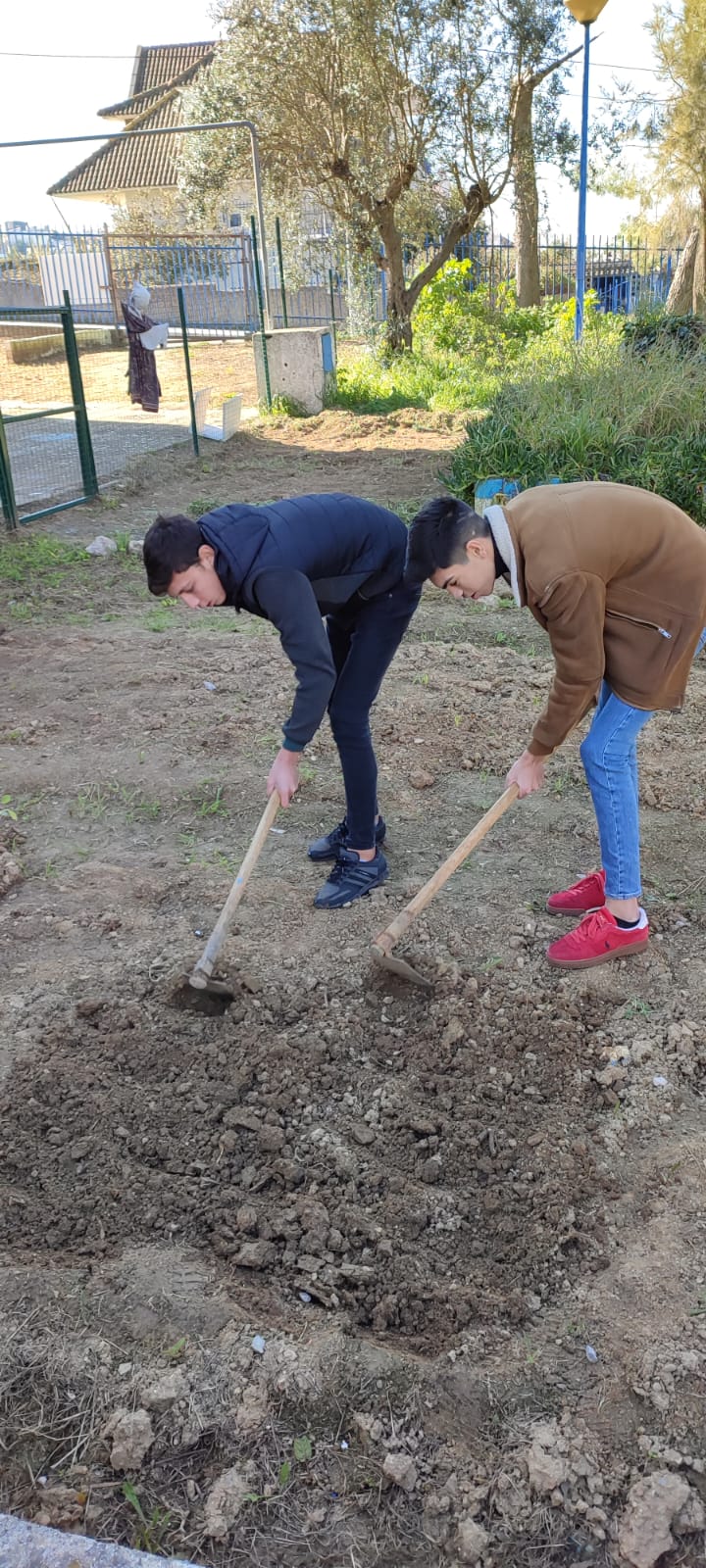 2- Preparação da terra para o cultivo: os alunos cavam a terra para que fique mais macia e adicionam fertilizante biológico.