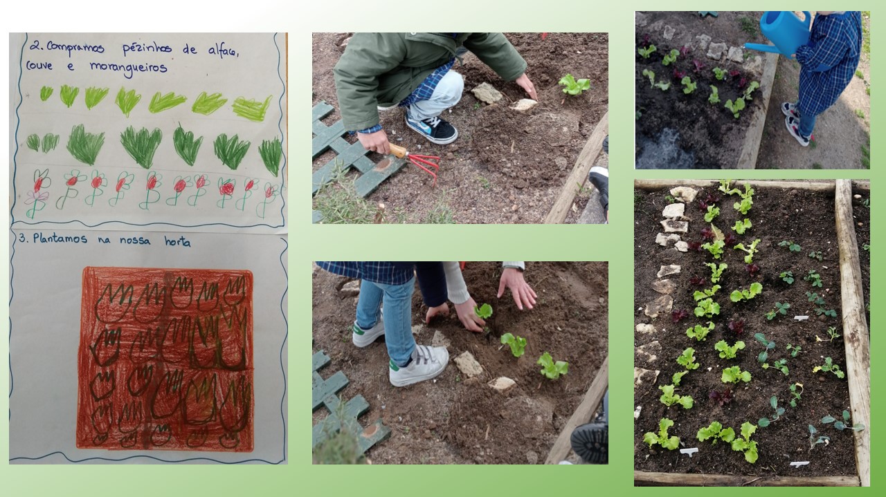 Os alunos plantam as alfaces na horta.