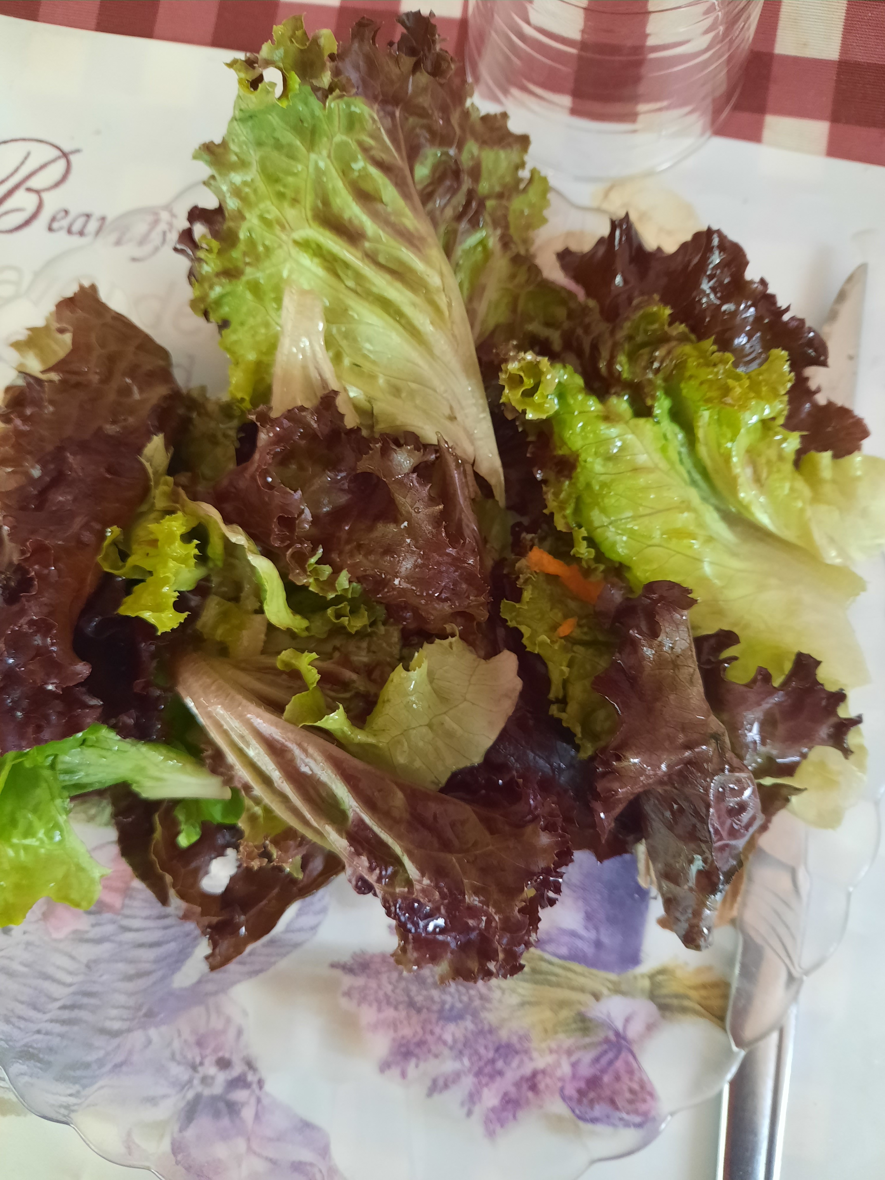 Preparação de uma salada com as alfaces da Bio-horta