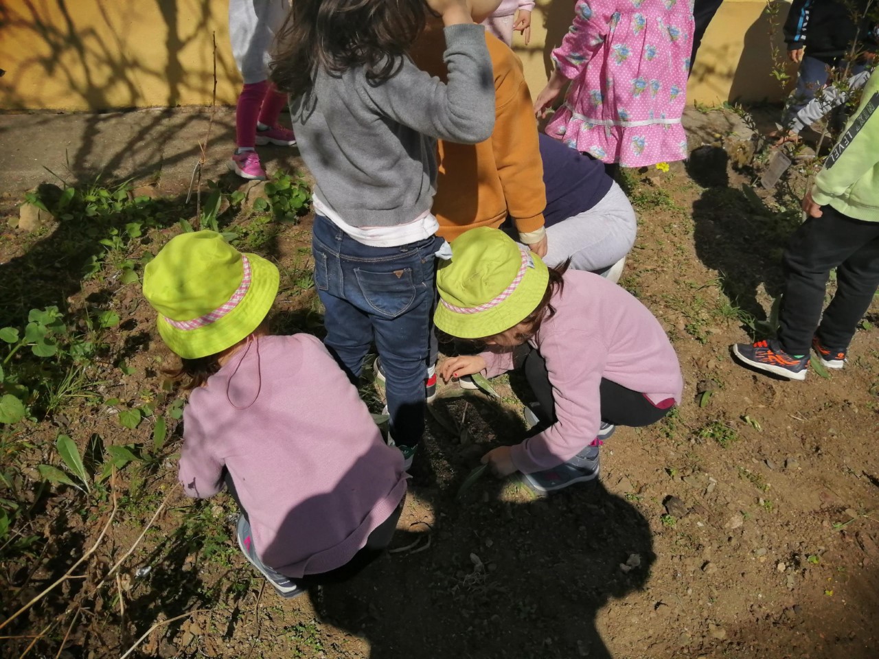 Esta foto corresponde ao mesmo espaço de janeiro: horta e horta 1. Outro grupo de crianças limpa o canteiro.