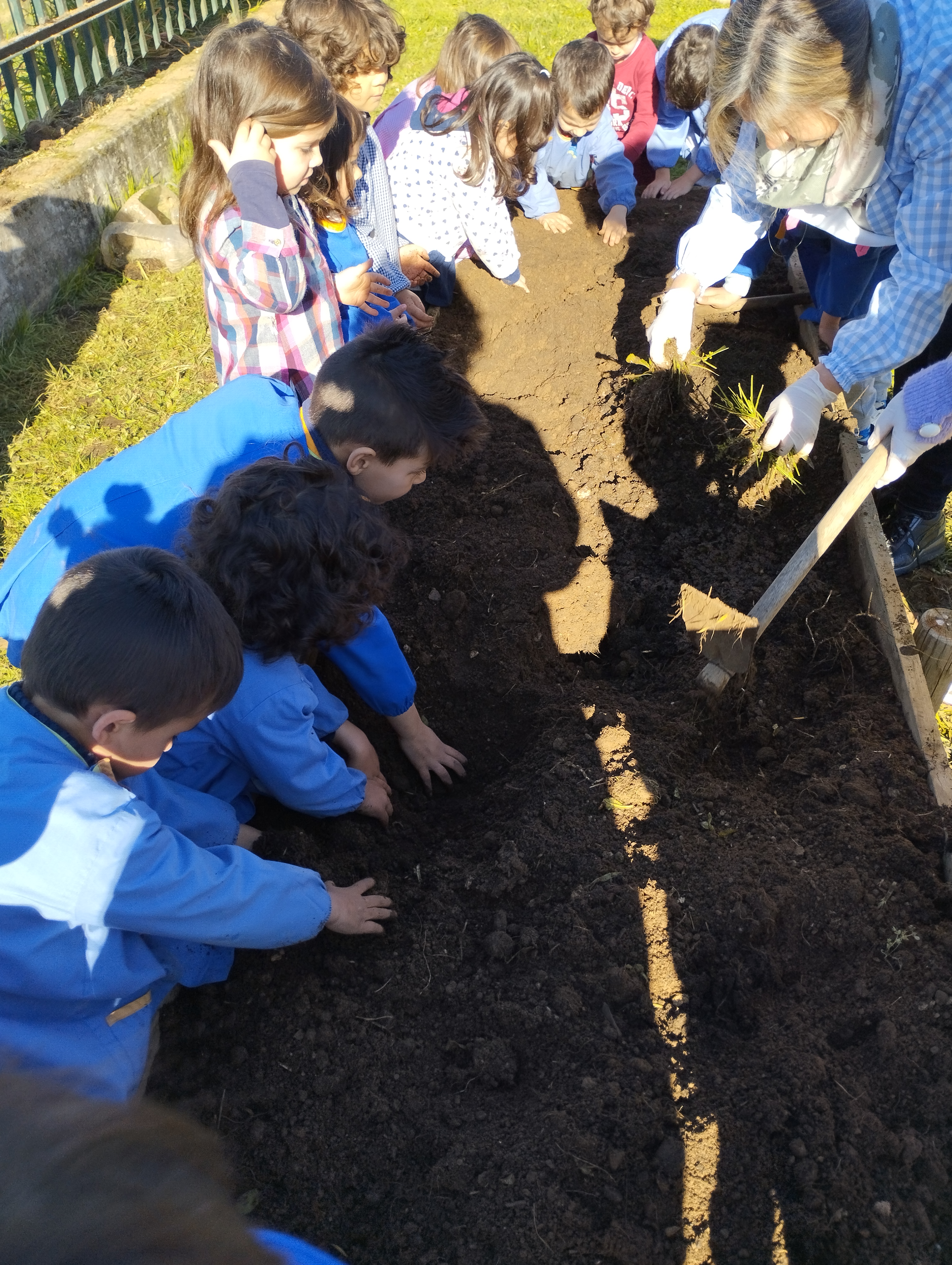As crianças ajudam a retirar as ervas daninhas e a revolver a terra, acrescentando o composto que é feito no compostor da escola.