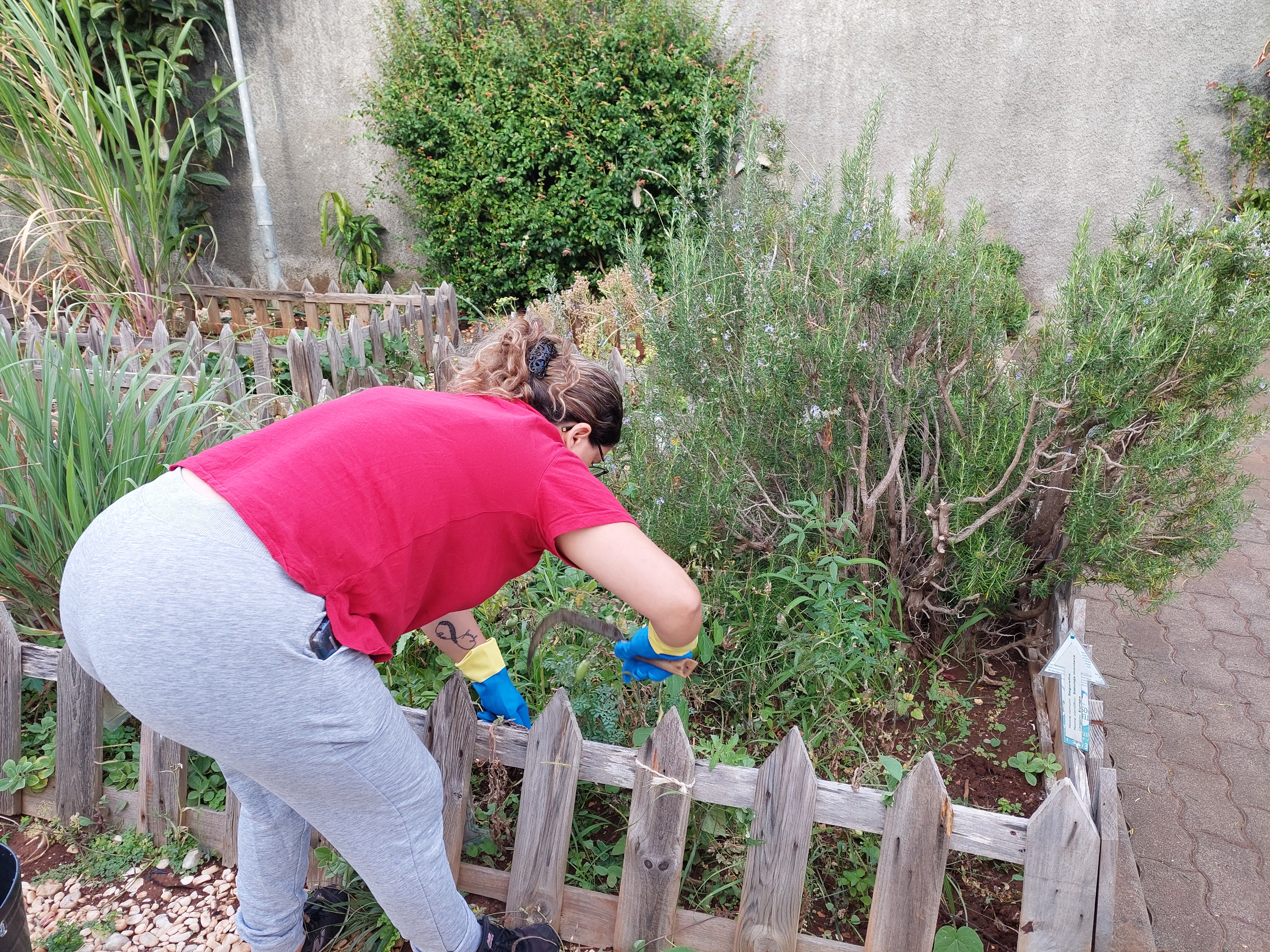 Limpeza da horta
Remoção das ervas daninhas por beneficiária da Mercearia Social
