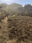preparação de terreno para plantação
