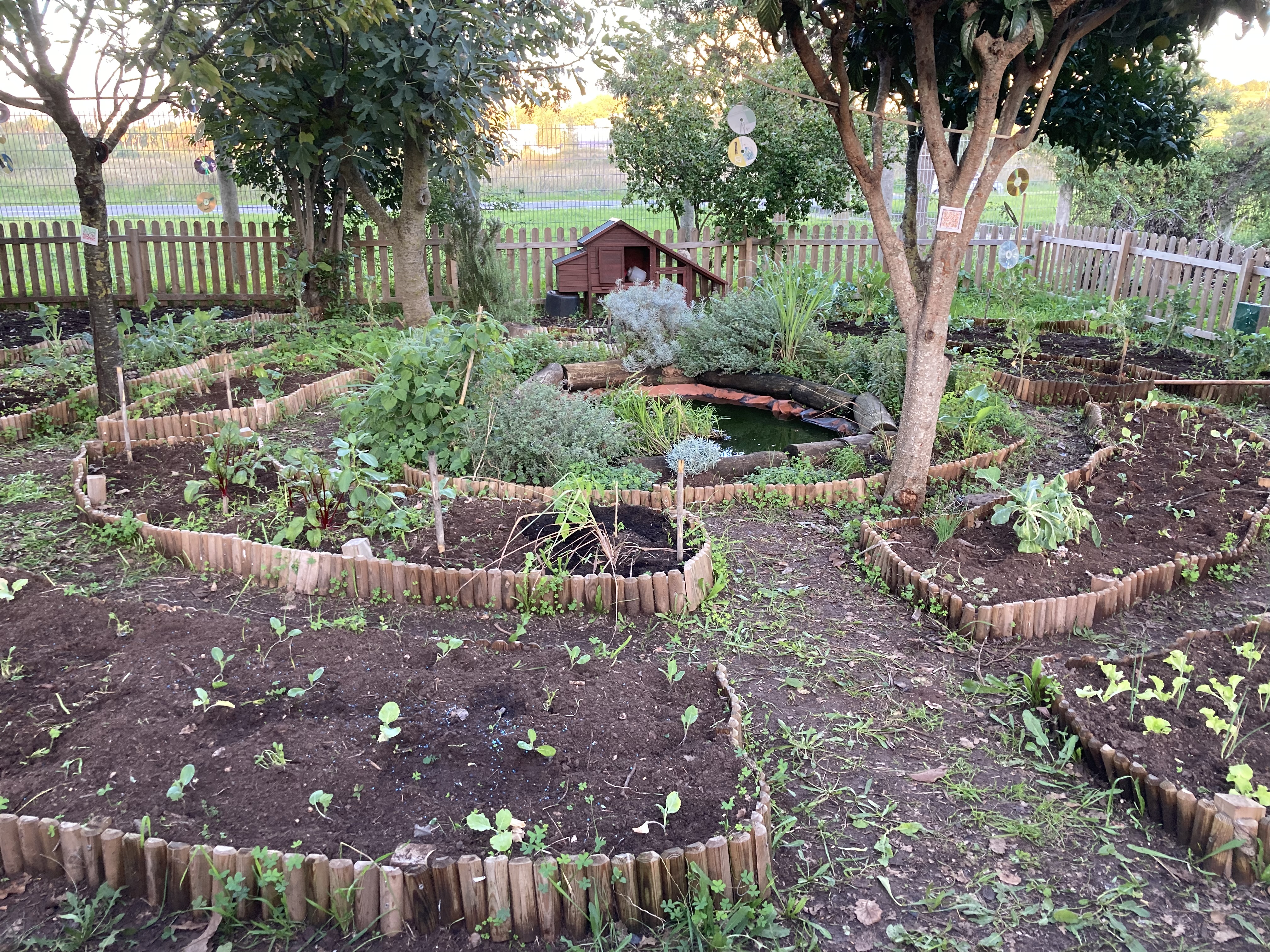 Plano da Horta em Mandala canteiros de hortícolas em consorciação canteiro de ervas aromáticas tb em consorciação e charco da horta no centro.