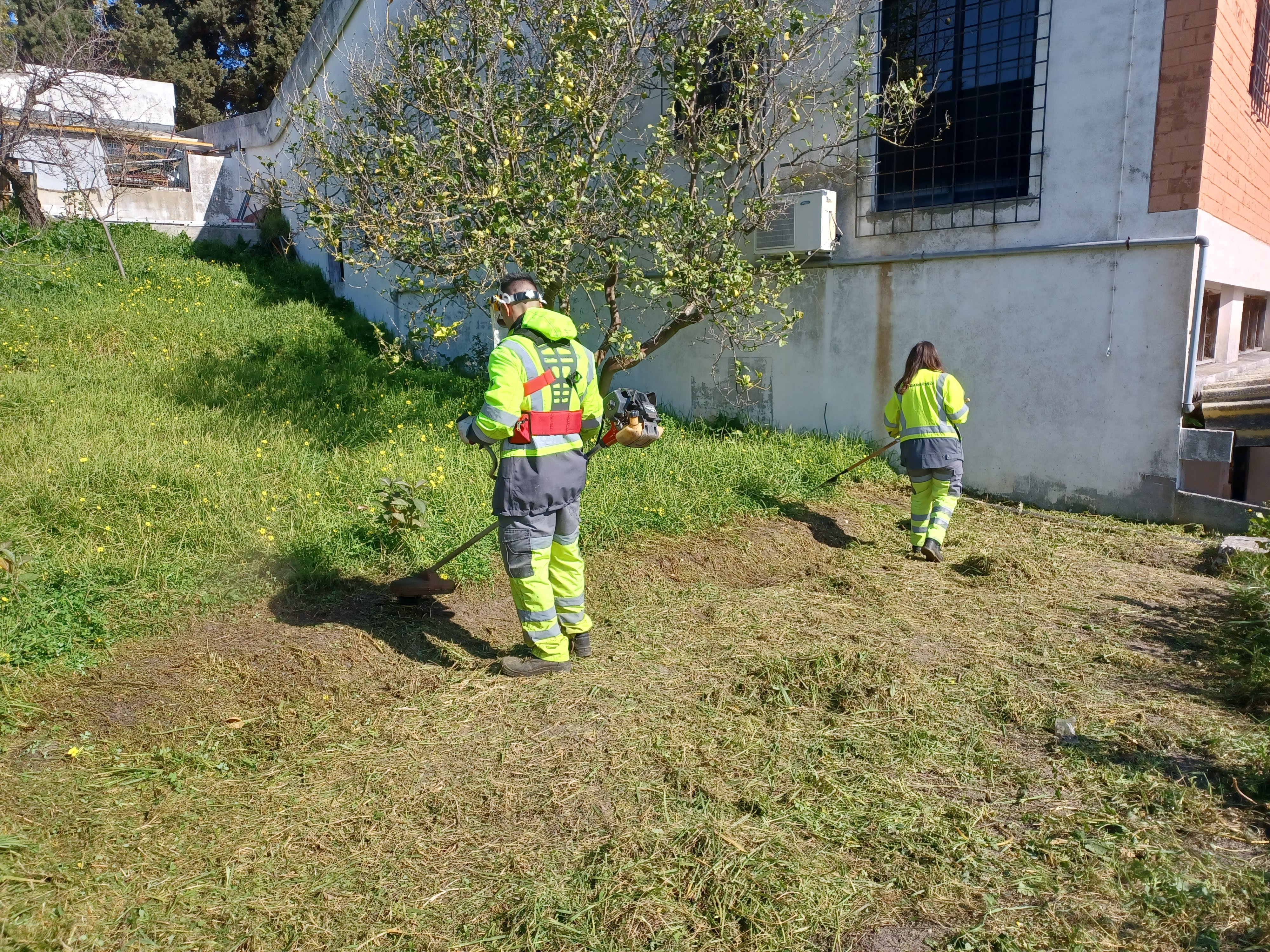 Limpeza e preparação do terreno com a participação de elementos da Divisão de Espaços Verdes, da Câmara Municipal do Barreiro.