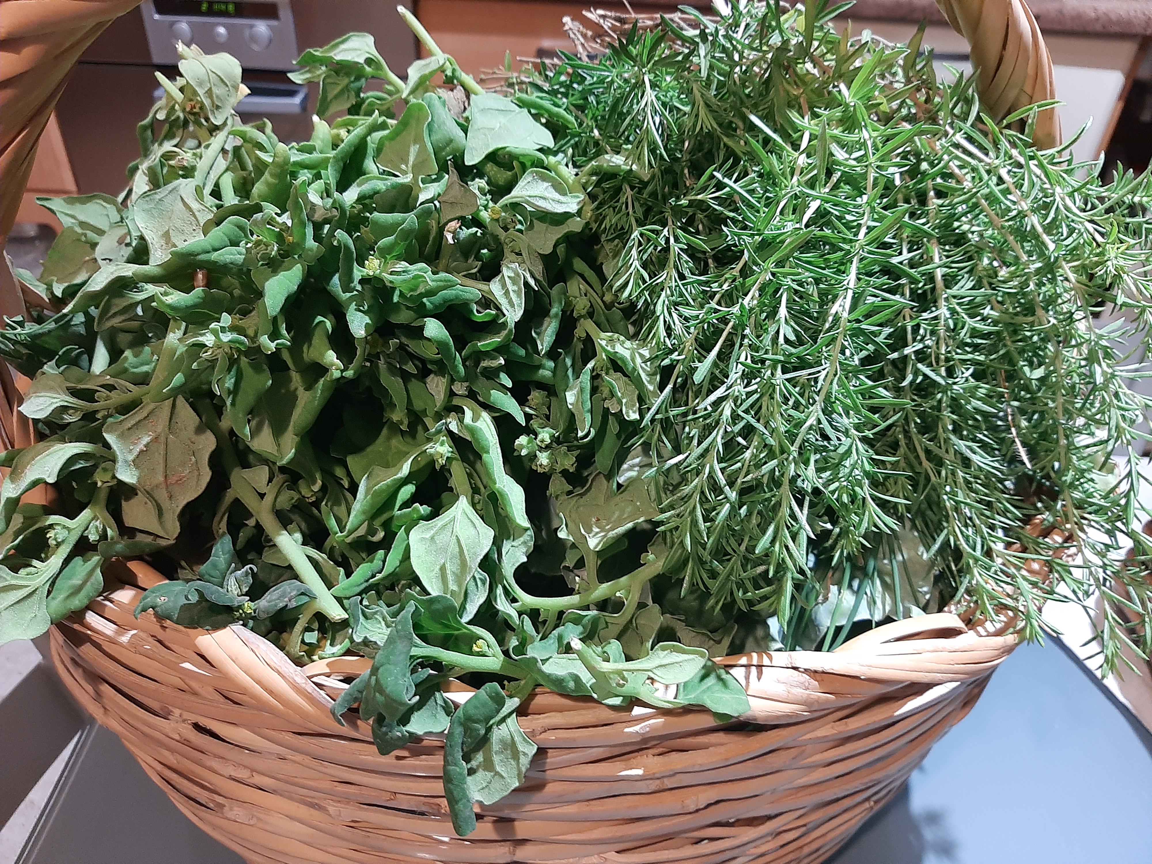 Colhem-se legumes e aromáticas para a banca da Horta AE4O e confeção da sopa para o jantar do Science Fest.