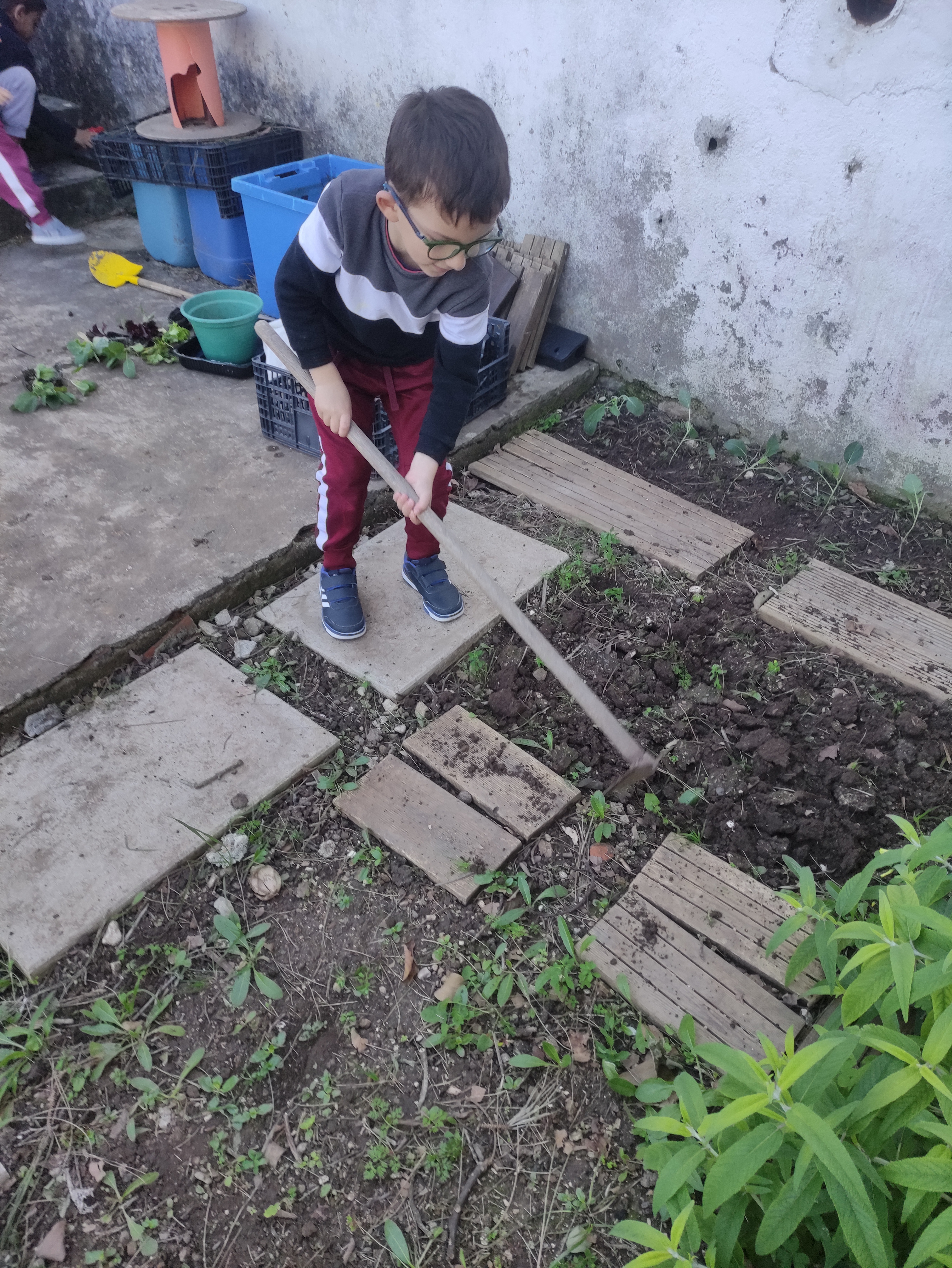 As crianças ajudaram a preparar o terreno para as novas plantações