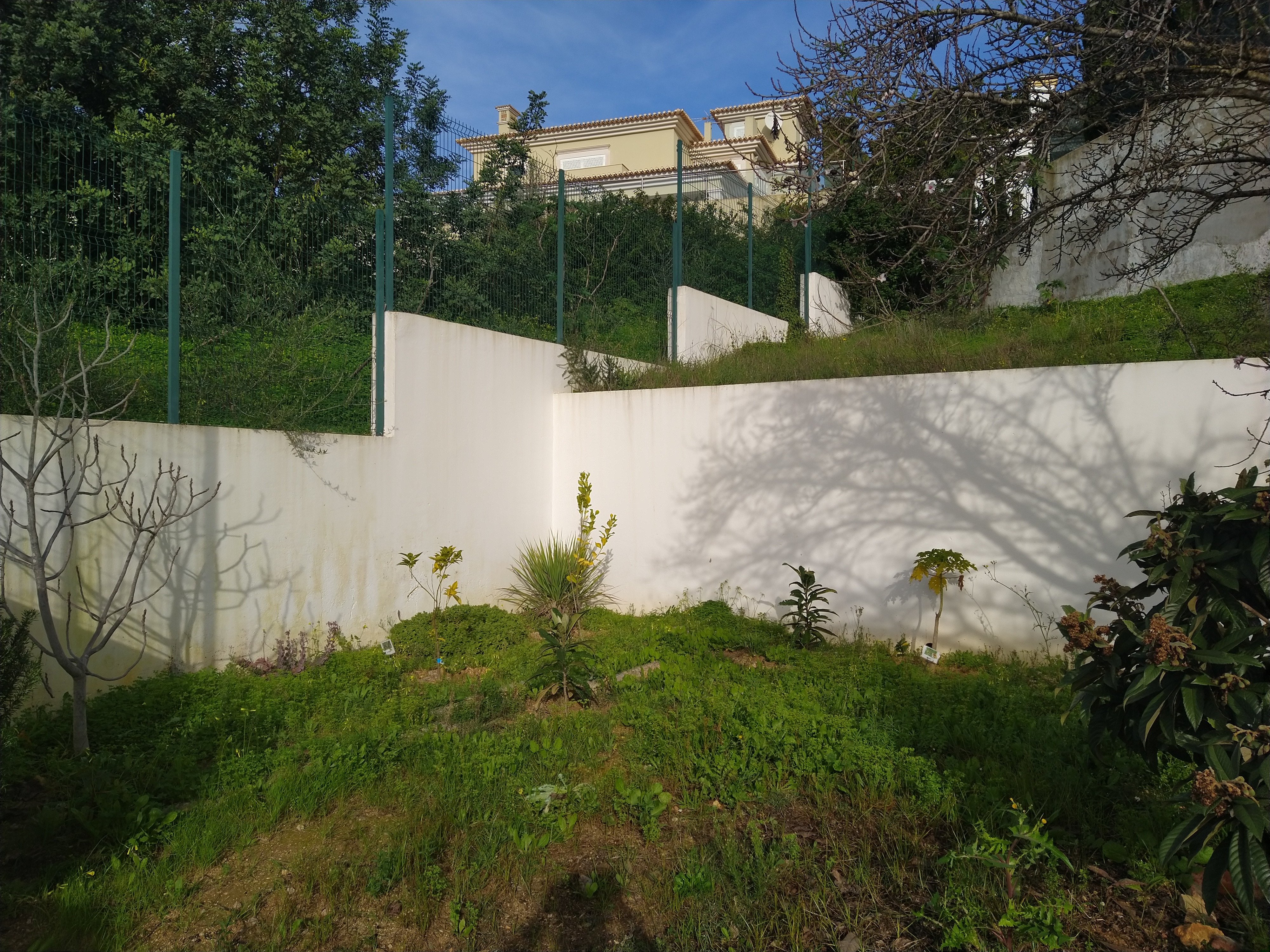 A Horta da Escola Básica e Jardim de Infância da Correeira antes da intervenção no âmbito do Projeto Eco-Escolas.
