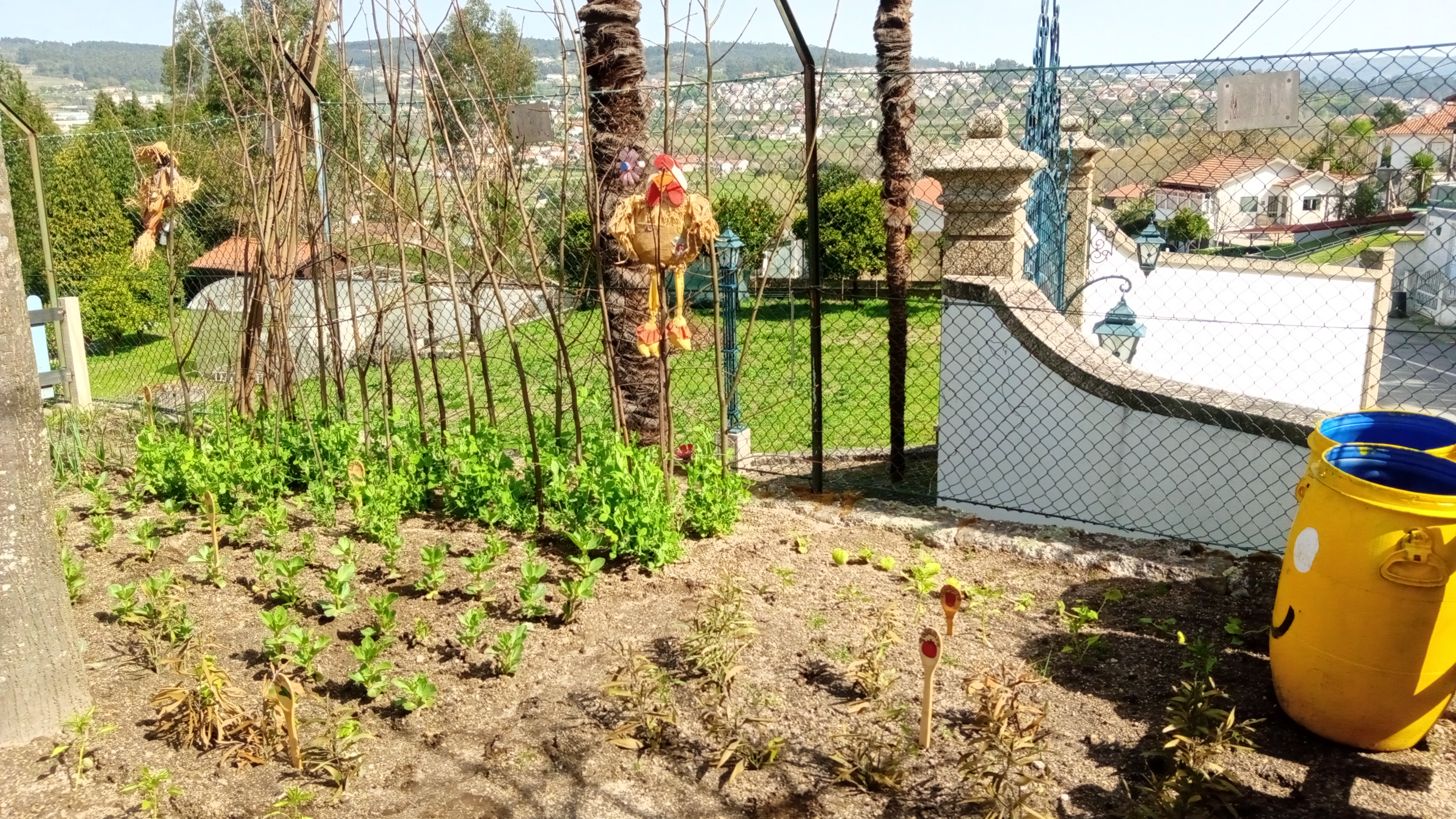 Vista parcial da horta com recipientes de recolha de água da chuva para a rega.