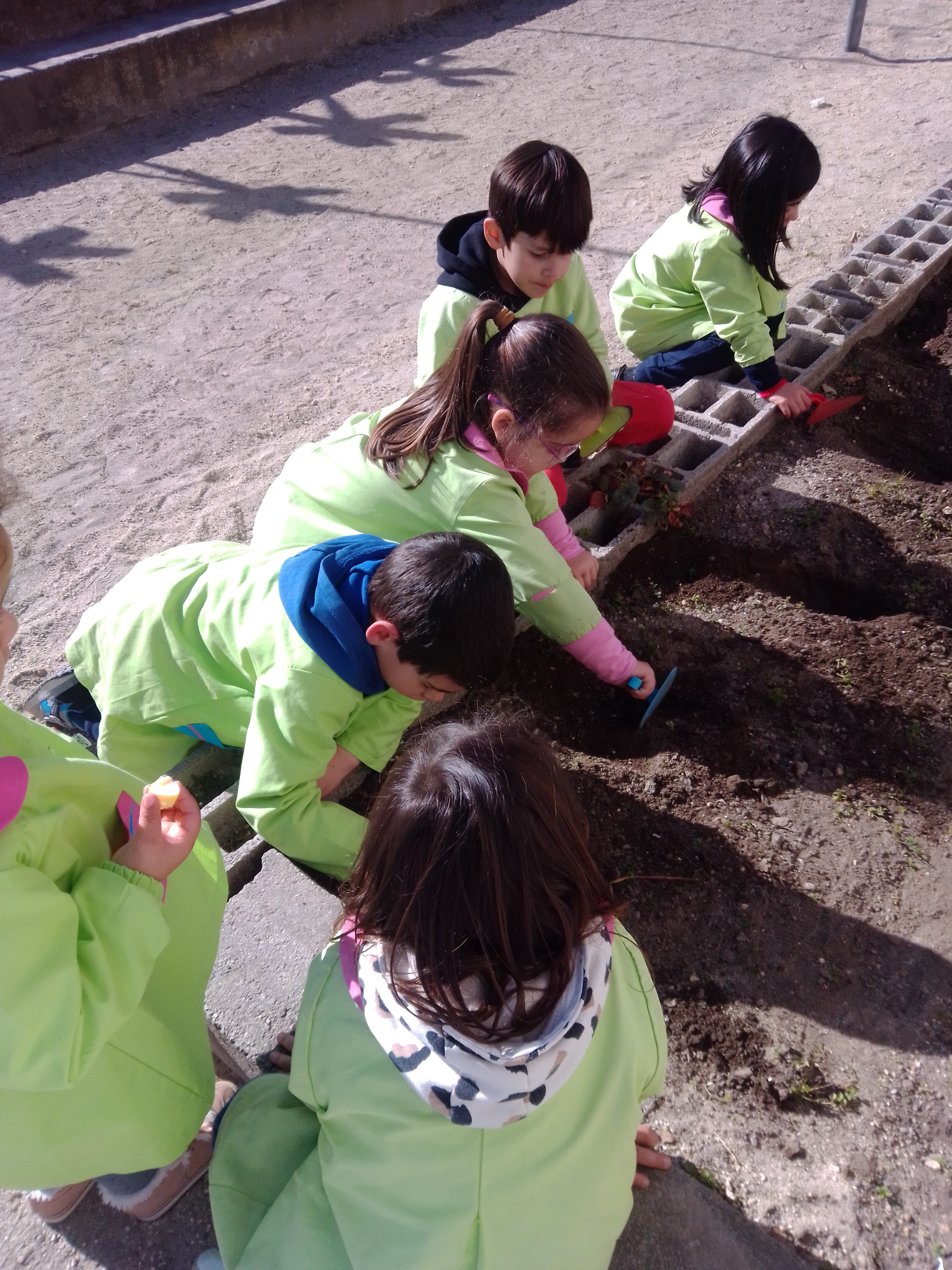 As crianças ajudaram a cavar a terra com as suas pás...
