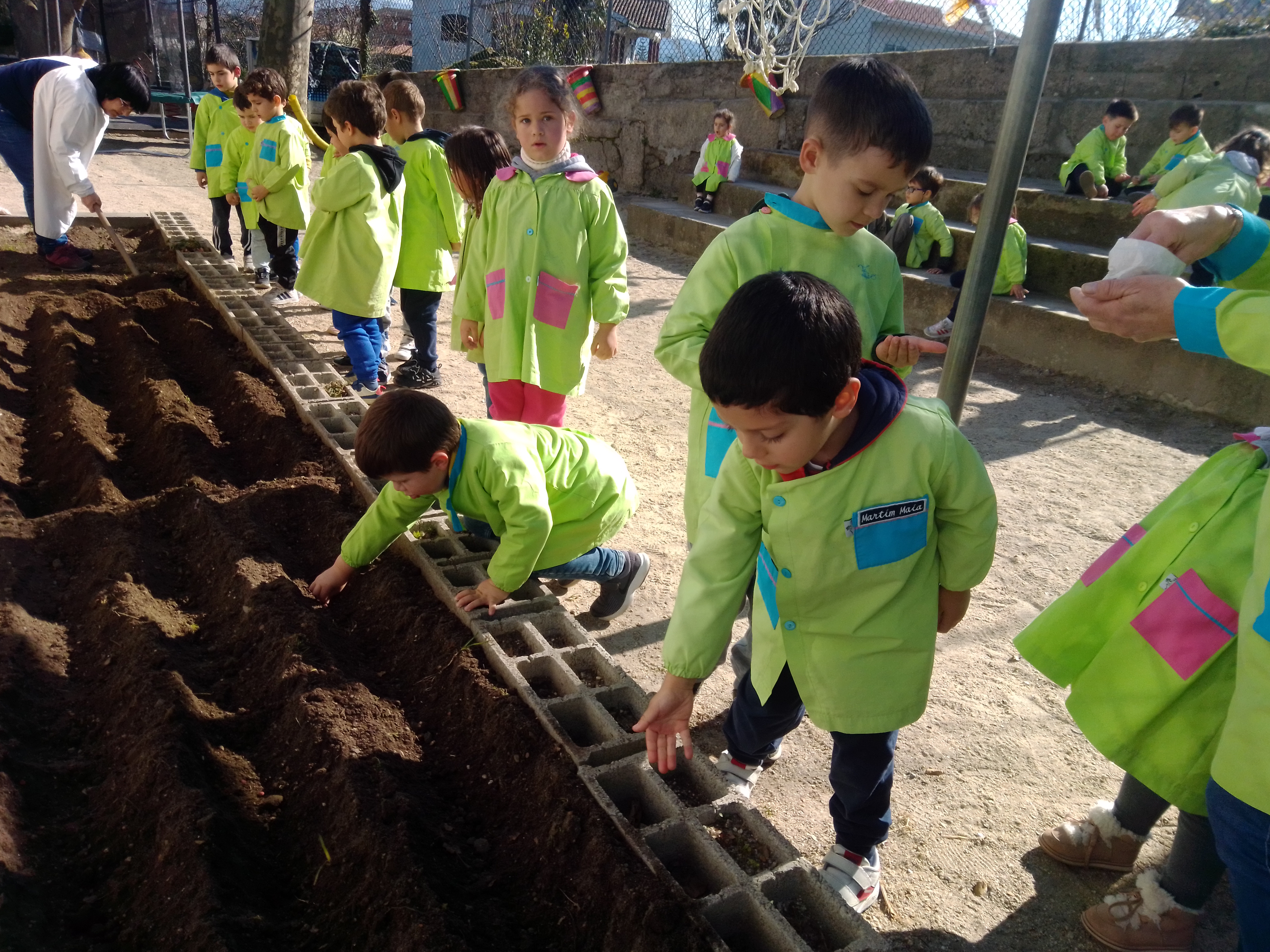 Os adultos ajudaram a cavar e prepararam os carreiros para colocar as sementes.