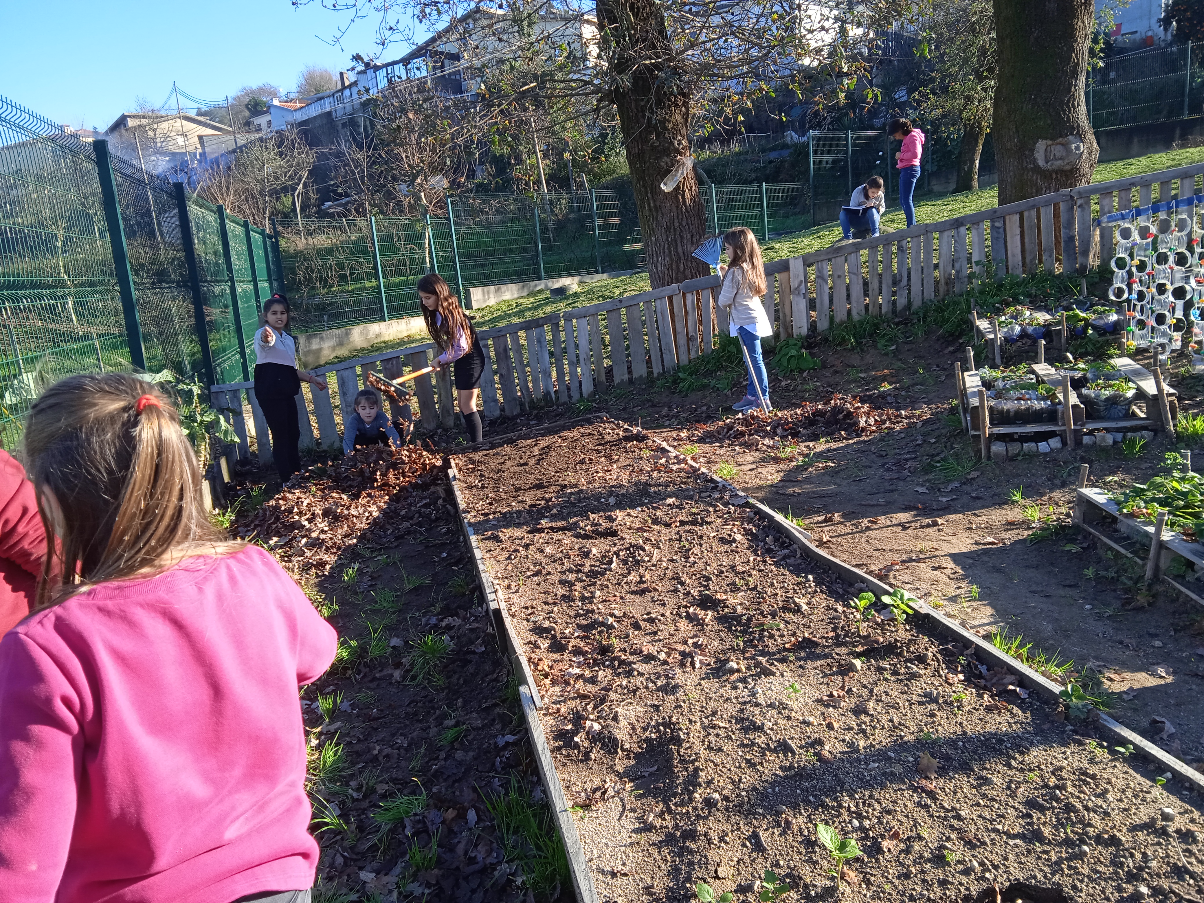 Após os dias chuvosos os alunos foram para a horta preparar o terreno para as novas sementeiras. Há muitas atividades a fazer.