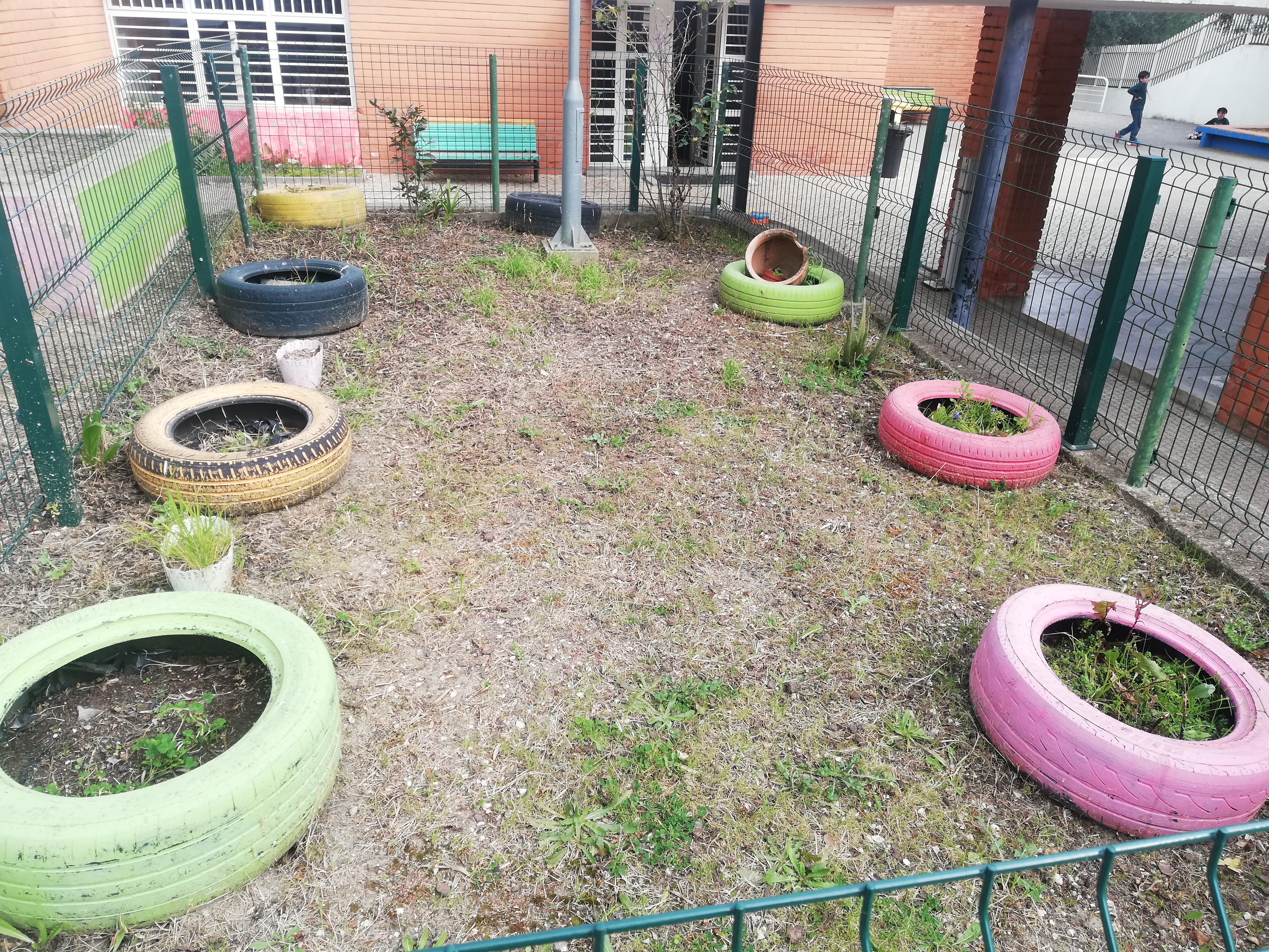 Espaço da horta (antes da implementação da horta de canteiros)