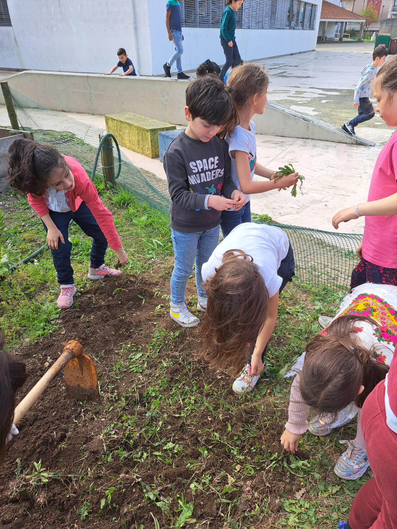 Os alunos do 2.º ano preparam o terreno para plantar hortícolas com a ajuda da família.