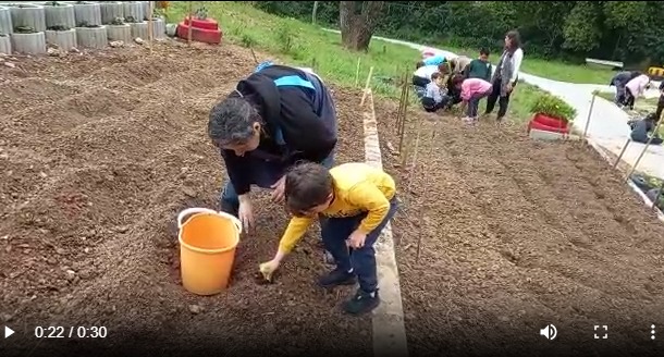 Uma das crianças a plantar  alface