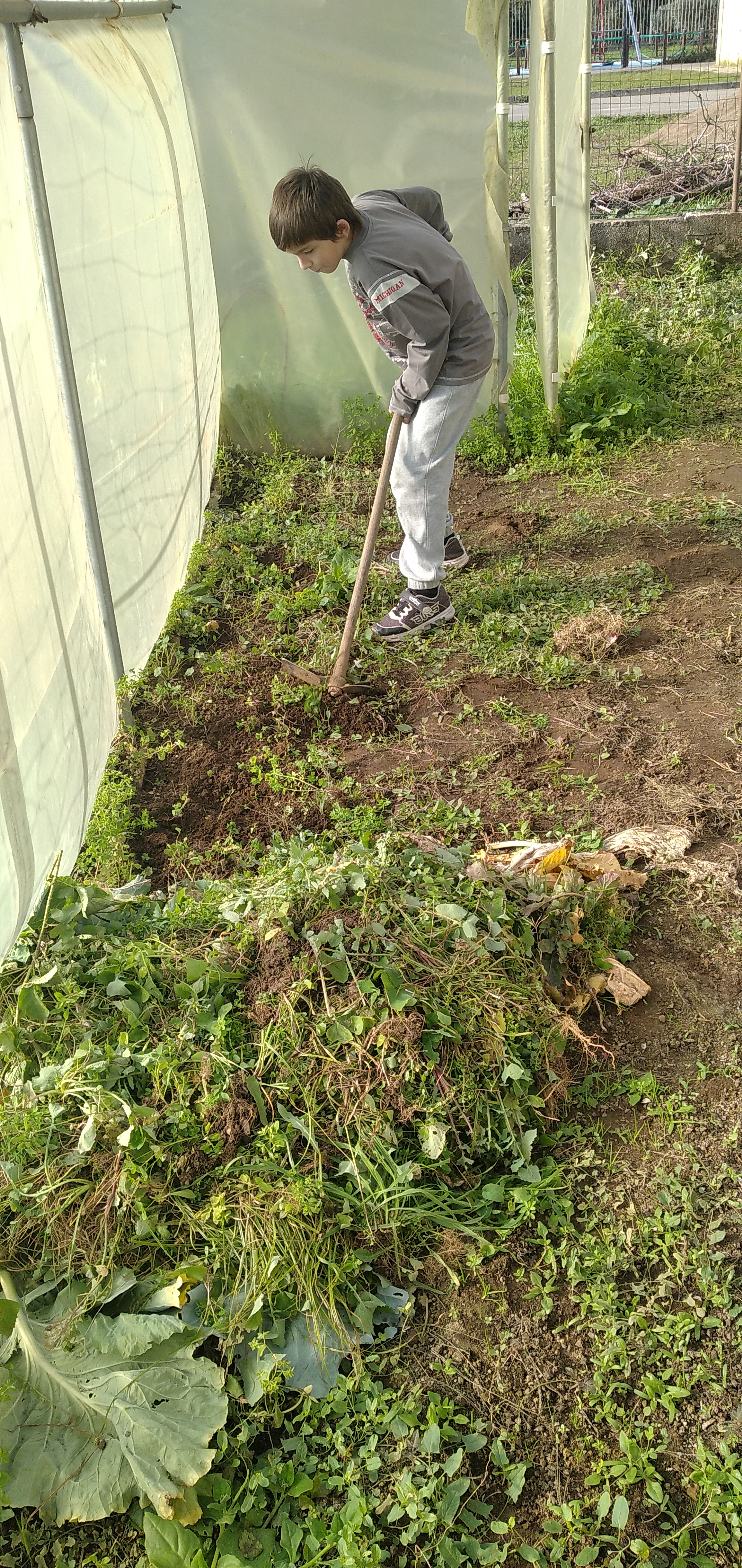 Limpeza do terreno da estufa: retirar as ervas daninhas necessárias para o biocompostor.
Também foi feita a limpeza inicial na horta exterior à estufa.